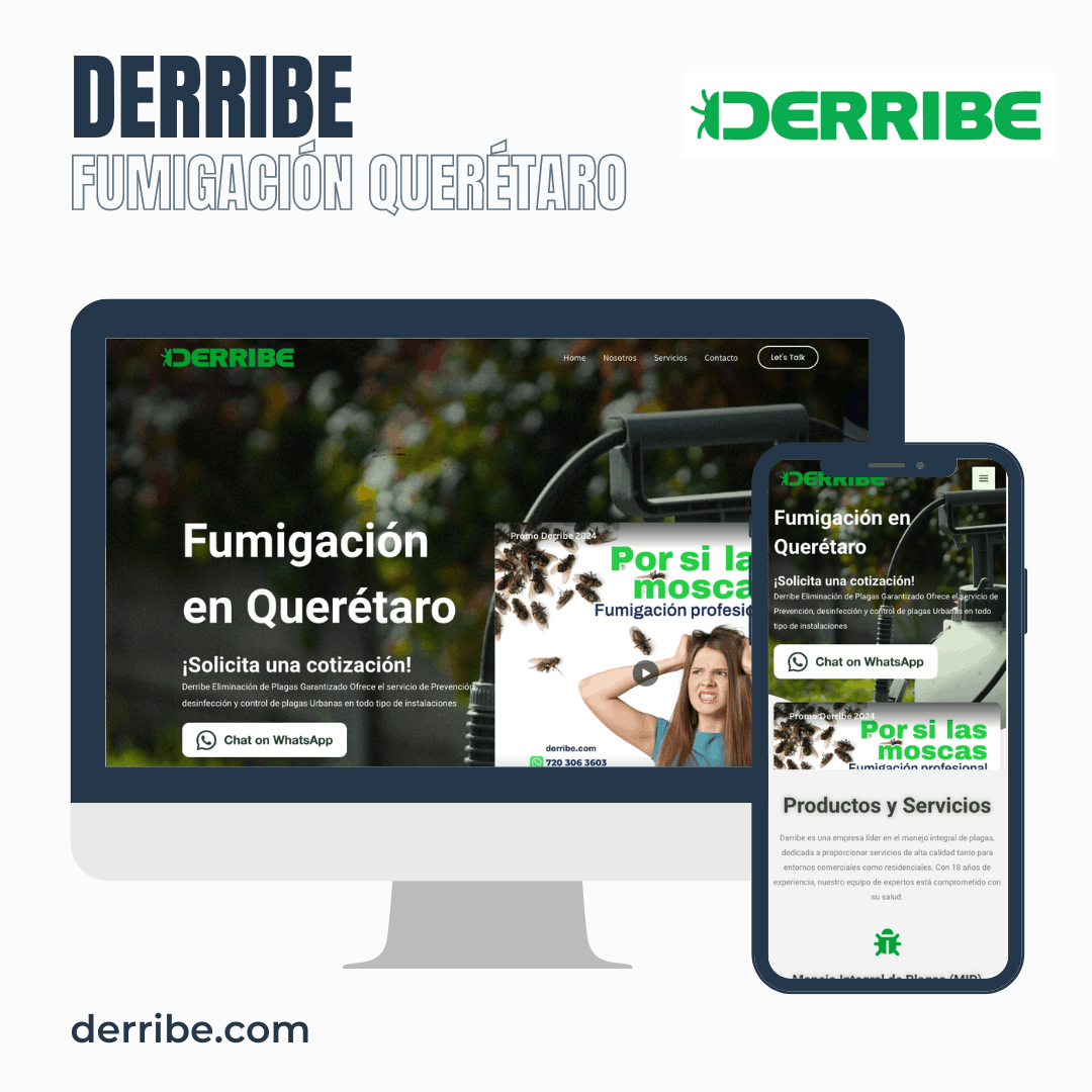 Proyecto Diseño de página web terminada entregada Cliente Derribe